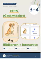 Vorschau - Spiele - PETS - Gesamtpaket - Klasse 3 und 4 (Bildkarten + Interactive) - Deckblatt