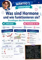 Vorschau - Arbeitsblätter - Wanyvo´s Lernspuren Materialpaket Grundlagen des Hormnsystems - Deckblatt