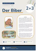 Vorschau - Unterrichtsreihen - Materialpaket - Der Biber - Klasse 2 und 3 - 3-fach differenzierter Lesetext (Stundenverlauf, Bildkarten, Aufgaben + Lösungen, uvm.) - Deckblatt