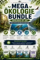 Vorschau - Stundenentwürfe - Fotosynthese, Ökosystem Wald, Meer & See, Stoffkreisläufe und Ökologische Faktoren | Biologie Oberstufe | Großes Ökologie-Bundle EF–Q2 - Deckblatt