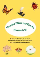 Vorschau - Arbeitsblätter - Von der Blüte zur Frucht - Stationenarbeit - Deckblatt