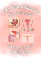 Vorschau - Spiele - XXL Materialpaket: Weibliche & Männliche Geschlechtsorgane - Deckblatt