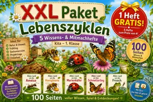 Vorschau - Unterrichtsreihen - Paket „Lebenszyklen – 5 Wissens- & Mitmachhefte (Kita–1. Klasse) - Deckblatt