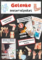 Vorschau - Arbeitsblätter - Gelenke Materialpaket: Gelenkbau, Scharniergelenk, Kugelgelenk & Knorpel - Deckblatt