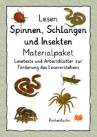 Vorschau - Arbeitsblätter - Lesen: Spinnen, Schlangen und Insekten - Materialpaket - Deckblatt