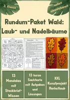 Vorschau - Stundenentwürfe - Rundum-Paket Wald: Heimische Laub- und Nadelbäume – Sachtexte, Mandalas & Kunstprojekt Herbstlaub - Deckblatt