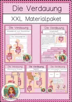 Vorschau - Arbeitsblätter - XXL Materialpaket zur Verdauung - Deckblatt