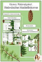 Vorschau - Stundenentwürfe - Kleines Materialpaket - Heimische Nadelbäume - Deckblatt