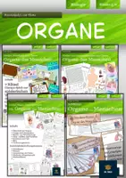 Vorschau - Arbeitsblätter - Organe - Deckblatt