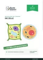 Vorschau - Stundenentwürfe - Materialpaket: Die Zelle - Deckblatt