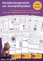Vorschau - Stundenentwürfe - Molekulargenetik komplett: DNA, Replikation, Proteinbiosynthese, Mutationen (Biologie Oberstufe) - Deckblatt