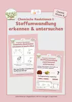 Vorschau - Stundenentwürfe - Chemische Reaktionen I: Stoffumwandlung erkennen & untersuchen - Deckblatt