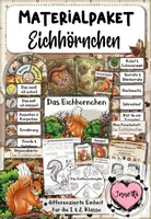 Vorschau - Mal- und Bastelvorlagen - Eichhörnchen | Materialpaket | Sachunterricht Klasse 1-2 - Deckblatt