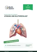 Vorschau - Stundenentwürfe - Materialpaket: Atmung und Blutkreislauf - Deckblatt