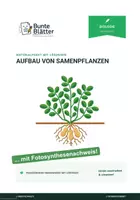 Vorschau - Stundenentwürfe - Materialpaket: Aufbau von Samenpflanzen und Fotosynthese - Deckblatt