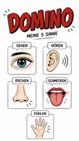 Vorschau - Spiele - Sinnesorgane | Unterrichtsmaterial | Rätsel | Spiel | Biologie | XL Materialpaket Klasse 5-8 | mit Lösungen - Deckblatt