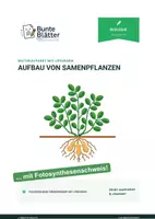Vorschau - Stundenentwürfe - Materialpaket: Aufbau von Samenpflanzen und Fotosynthese - Deckblatt