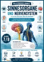 Vorschau - Arbeitsblätter - 👁️🧠 Die Sinnesorgane & das Nervensystem 📚🥼 Das große Unterrichts-Bundle für Klasse 7/8 Materialpaket - Deckblatt