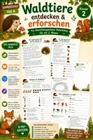 Vorschau - Arbeitsblätter - Sommerschule – Tag 8: Waldtiere entdecken & erforschen | Klasse 2 - Deckblatt