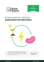 Vorschau - Stundenentwürfe - Materialpaket Energiestoffwechsel: Fotosynthese und Zellatmung Klasse 7/8 - Deckblatt