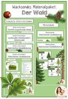 Vorschau - Stundenentwürfe - Wachsendes Materialpaket - Der Wald - Deckblatt
