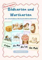 Vorschau - Präsentationen/Tafelbilder - Bildkarten und Wortkarten zu verschiedenen Rechtschreibfällen - Deckblatt