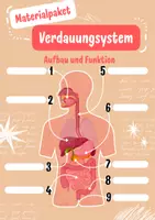 Vorschau - Arbeitsblätter - Materialpaket: Verdauungssystem (Organe + Funktion) - Deckblatt