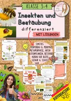 Vorschau - Unterrichtsreihen - Materialpaket rundum Insekten Bestäuber Unterrichtsmaterial Biologie Sachkunde Klasse 3-4 – Arbeitsblätter, Körperbau, Metamorphose, Bestäubung, Ökosystem differenziert mit Lösungen - Deckblatt