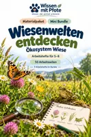 Vorschau - Arbeitsblätter - Materialpaket Wiesenwelten entdecken – Mini Bundle - Deckblatt