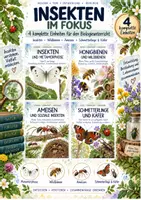Vorschau - Unterrichtsreihen - Insekten im Fokus – XXL-Bundle mit 4 kompletten Biologie-Unterrichtseinheiten | Metamorphose, Bienen, Ameisen, Schmetterlinge & Käfer - Deckblatt