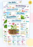 Vorschau - Poster - Blatt Blüte Baum Poster + Lernkarten Set Klasse 4-6 - Deckblatt