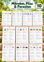Vorschau - Poster - Mikroben, Pilze & Parasiten – 10 Biologie-Spickzettel | Bakterien, Viren, Archaeen, Einzeller, Hefen, Flechten, Mikrobiom & Stoffkreisläufe | Lernzettel & Merkblätter - Deckblatt
