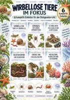 Vorschau - Unterrichtsreihen - Wirbellose Tiere im Fokus – XXL-Bundle mit 6 kompletten Biologie-Unterrichtseinheiten | Spinnen, Weichtiere, Bodentiere, Krebse, Stachelhäuter, Nesseltiere & Korallen - Deckblatt