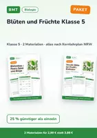 Vorschau - Arbeitsblätter - Blüten und Früchte Klasse 5 – Paket - Deckblatt