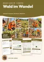 Vorschau - Stundenentwürfe - Wald im Wandel Sukzession Monokultur Waldschäden Biologie Klasse 7 8 | Paket 5 Unterrichtsstunden 80 Seiten mit Lösungen | Boarding Pass, Exit-Ticket, Übungen | Netz des Lebens Paket C - Deckblatt