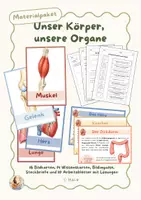 Vorschau - Stundenentwürfe - Mein Körper und seine Organe | Materialpaket Sachunterricht Klasse 3/4 – Arbeitsblätter, Bildkarten & Wortkarten - Deckblatt