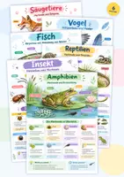 Vorschau - Poster - Tierklassen im Überblick Poster + Lernkarten Set Klasse 4-6 - Deckblatt