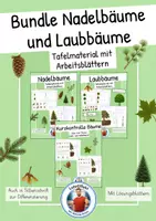 Vorschau - Stundenentwürfe - Materialpaket - Laubbäume und Nadelbäume - Deckblatt