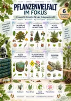 Vorschau - Stundenentwürfe - Pflanzenvielfalt im Fokus – 6 komplette Biologie-Unterrichtseinheiten | Bäume, Moose & Farne, Algen, Pflanzenfamilien & Flechten - Deckblatt