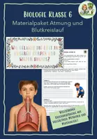 Vorschau - Stundenentwürfe - Materialpaket: Atmung und Blutkreislauf - Deckblatt