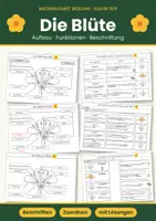 Vorschau - Arbeitsblätter - Aufbau und Funktionen einer Blüte – Materialpaket mit Beschriftung, Zuordnung und Lösungen | Biologie Klasse 5/6 - Deckblatt