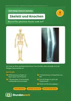 Vorschau - Stundenentwürfe - Skelett Knochen Reihe Klasse 5 6 Sparpaket - Deckblatt