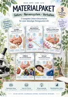 Vorschau - Unterrichtsreihen - Gehirn, Nervensystem & Verhalten – Biologie-Bundle | 5 komplette Einheiten zu Nervenzellen, Lernen, Gedächtnis, Stress, Sucht & Schlaf - Deckblatt