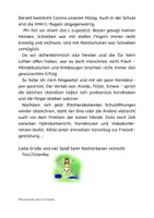 Vorschau - Text - Handstulpen - Anleitung zum Selbermachen - Seite 2