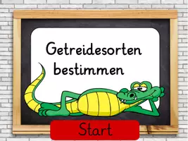 Vorschau - Arbeitsblätter - XXL-Paket Getreide: Powerpoint-Quiz, große Bildkarten, Faltbuch, Brotrezept, interaktive Arbeitsblätter ("Getreidearten" und "Vom Korn zum Brot"); interaktives Bestimmungsspiel (PDF) - Seite 1