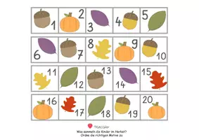 Vorschau - Fördermaterial/Inklusion - 20er Tafel - Zahlenstrahl - HERBST - Klettaufgabe (TEACCH) - Seite 3
