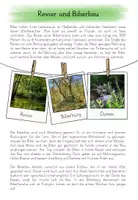 Vorschau - Arbeitsblätter - Biber - Revier und Biberbau - Seite 2