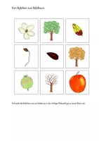 Vorschau - Arbeitsblätter - Vom Apfelkern zum Apfelbaum Arbeitsblatt Freebie - Deckblatt