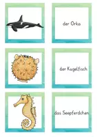 Vorschau - Stationenlernen - Die Welt Unterwasser - Merk es dir! (Kartenspiel) - Seite 3