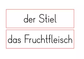 Vorschau - Präsentationen/Tafelbilder - Tafelmaterial Apfel - Seite 3